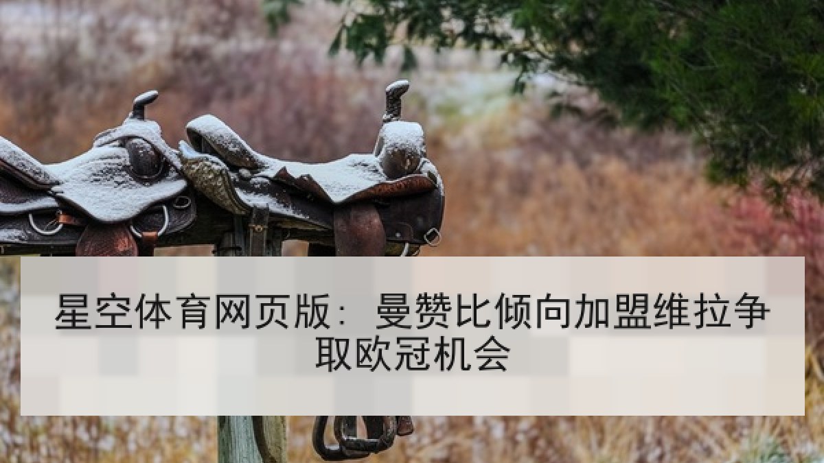 星空体育网页版: 曼赞比倾向加盟维拉争取欧冠机会 星空体育网页版: 曼赞比倾向加盟维拉争取欧冠机会