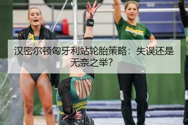 汉密尔顿匈牙利站轮胎策略：失误还是无奈之举？