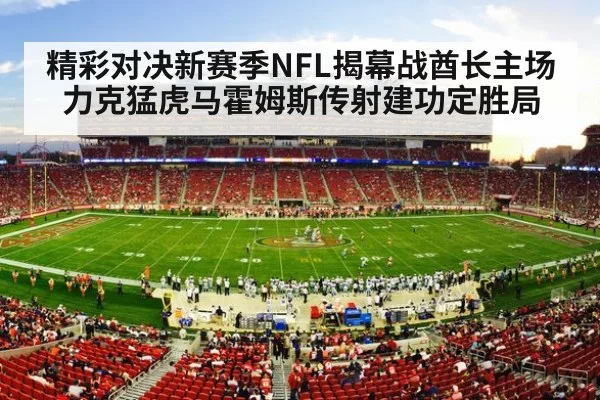 NFL football stadium action