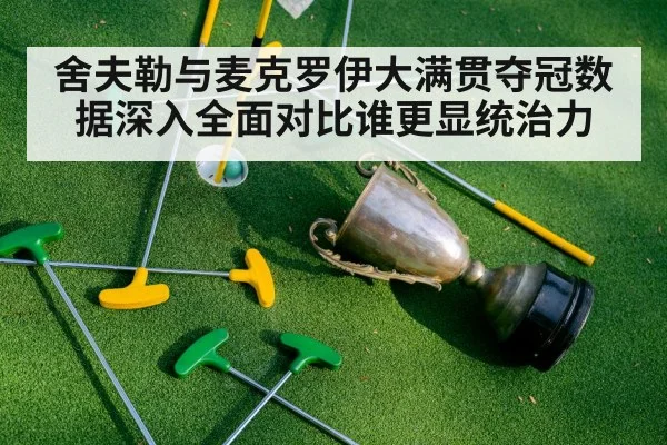 舍夫勒与麦克罗伊大满贯夺冠数据深入全面对比谁更显统治力
