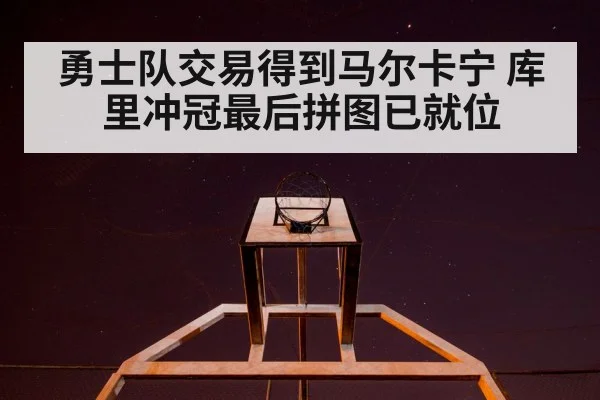 勇士队交易得到马尔卡宁 库里冲冠最后拼图已就位